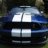 08ShelbyGT500