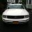 Bellastang2421