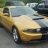 goldstang