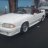 88 stang