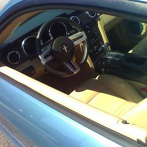my 1st day with the 'stang