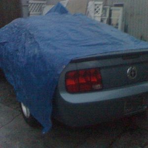 random 'stang pics