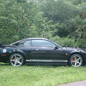 BlackBetty