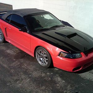 Rochester Mustangs