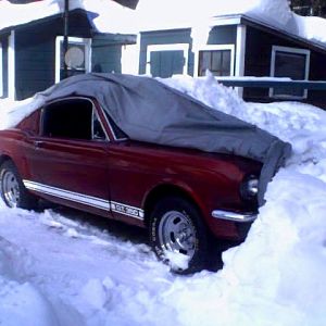 fastback project