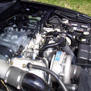 99Cobra