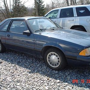 '87 mustang