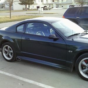 the bullitt