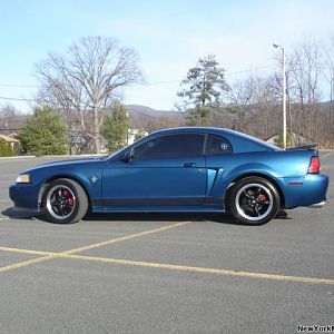 My mustang!