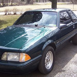 Stang