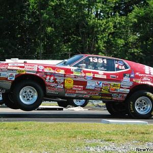 Racy Mustangs