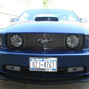 pony1