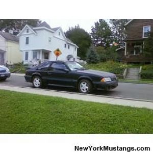 my stang
