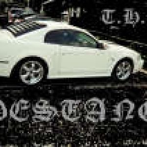 DESTANG