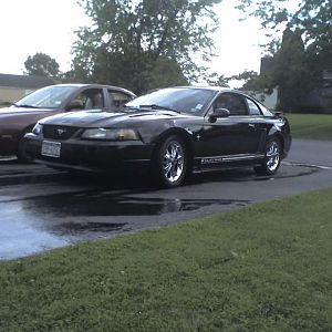my stang