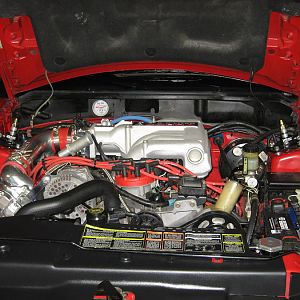 Cobra PICS