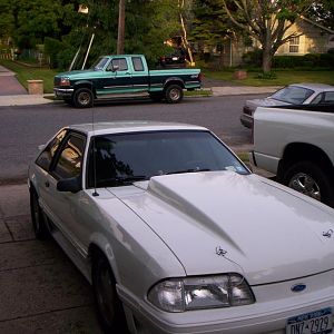 my stangs