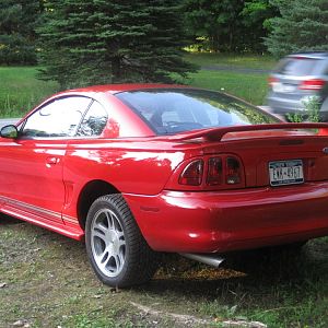 MY MUSTANG