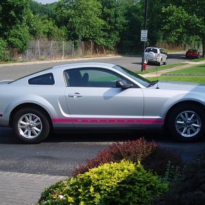 new mustang