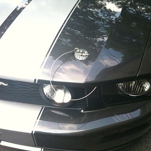 My GT