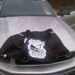 My Mustang