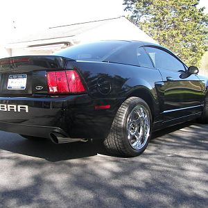 2003 cobra