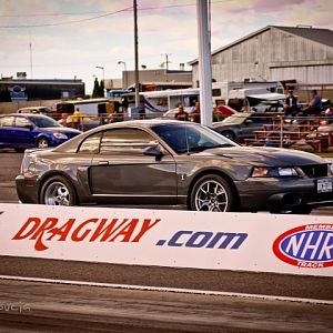 03 DSG Cobra