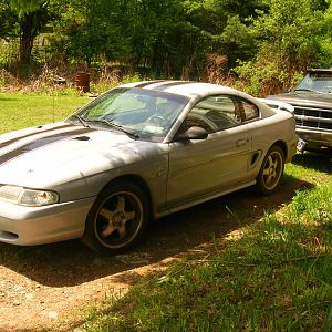 stang
