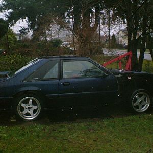 85gt updated