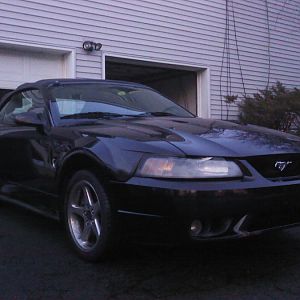 2001 Cobra