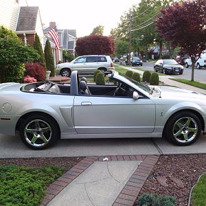 04 Cobra Vert