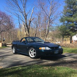 94 Vert GT (Brandy Lynn)