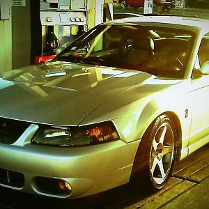 My 2003 Cobra
