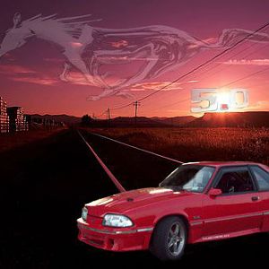 91 mustang 5.0