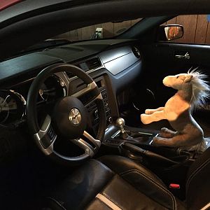 mustang GT