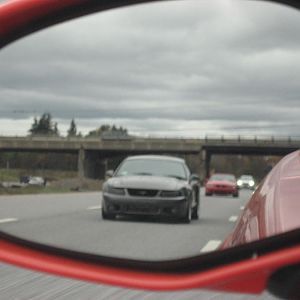 2011 Cruise