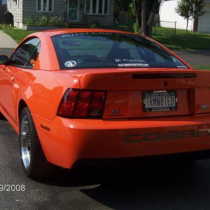 AJ's Competition Orange Cobra!