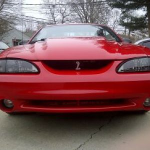 my stang
