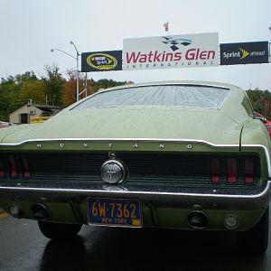 Mustangs