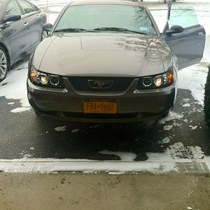 My First Mustang(of many)