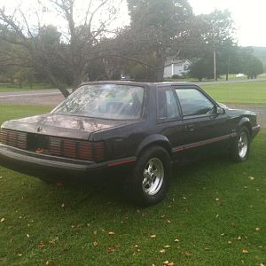 My Mustang