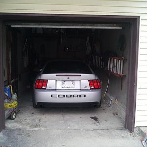 2003 Satin Silver Mustang SVT Cobra