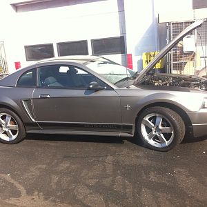 2002 v6 mustang