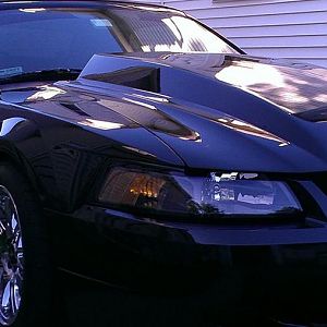 04 Blown Vert