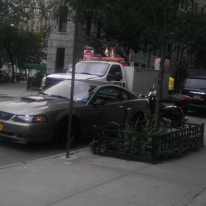 my mustang