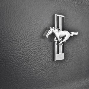 Random Auto Photos