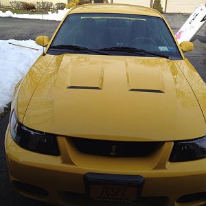 04 Terminator