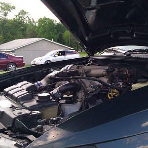 2001 bullitt 4.6 2v