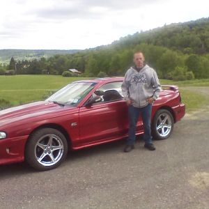 mustang
