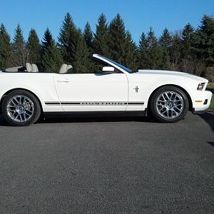 new pics